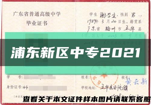 浦东新区中专2021缩略图