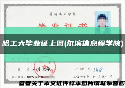 哈工大毕业证上图(尔滨信息程学院)缩略图