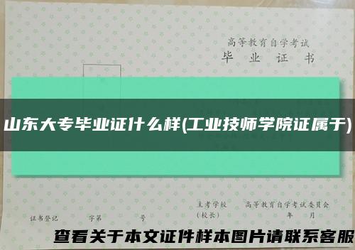 山东大专毕业证什么样(工业技师学院证属于)缩略图