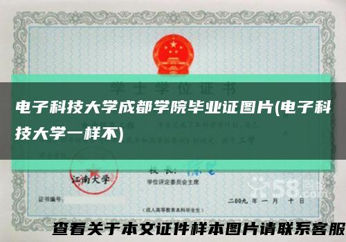 电子科技大学成都学院毕业证图片(电子科技大学一样不)缩略图