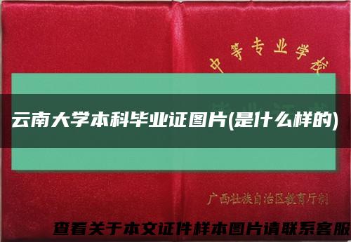 云南大学本科毕业证图片(是什么样的)缩略图