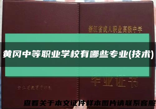 黄冈中等职业学校有哪些专业(技术)缩略图