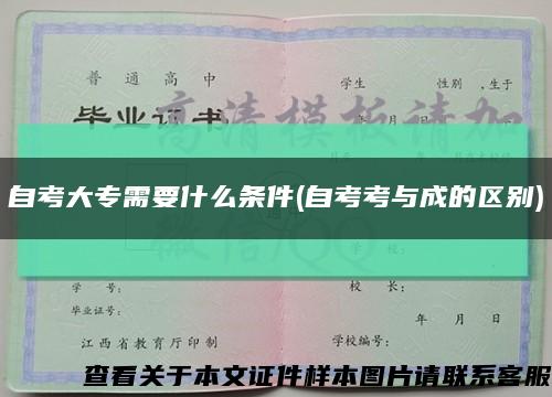 自考大专需要什么条件(自考考与成的区别)缩略图