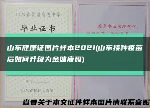 山东健康证图片样本2021(山东接种疫苗后如何升级为金健康码)缩略图