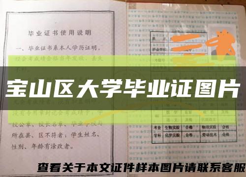 宝山区大学毕业证图片缩略图