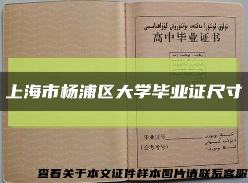 上海市杨浦区大学毕业证尺寸缩略图