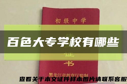 百色大专学校有哪些缩略图