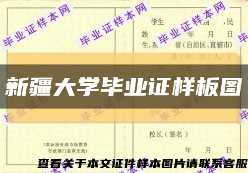 新疆大学毕业证样板图缩略图