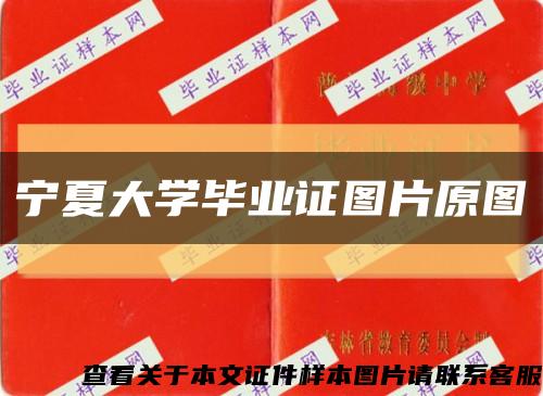 宁夏大学毕业证图片原图缩略图