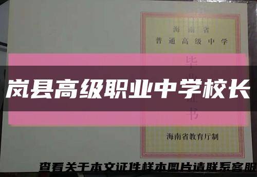 岚县高级职业中学校长缩略图