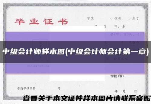 中级会计师样本图(中级会计师会计第一章)缩略图