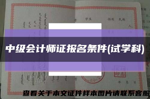 中级会计师证报名条件(试学科)缩略图