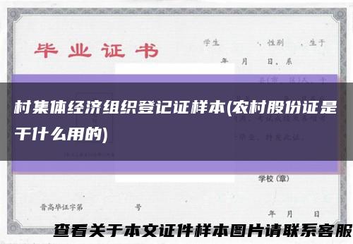 村集体经济组织登记证样本(农村股份证是干什么用的)缩略图