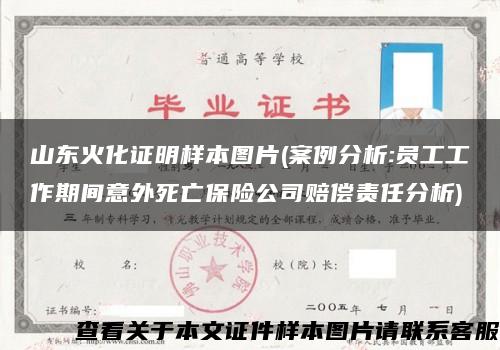 山东火化证明样本图片(案例分析:员工工作期间意外死亡保险公司赔偿责任分析)缩略图