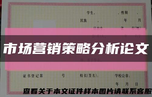 市场营销策略分析论文缩略图