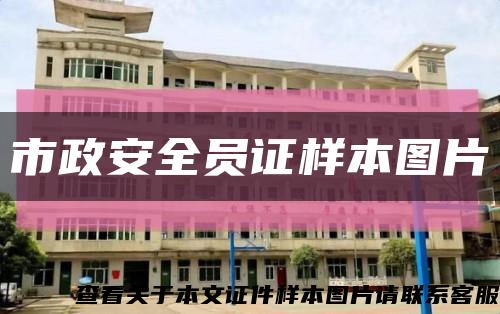 市政安全员证样本图片缩略图