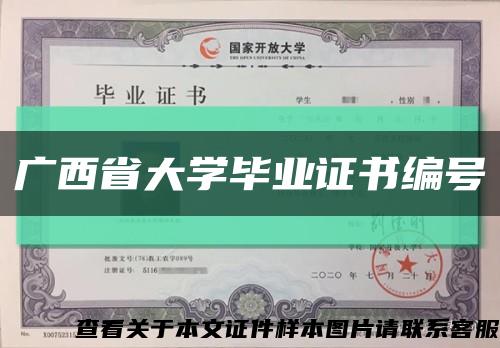 广西省大学毕业证书编号缩略图