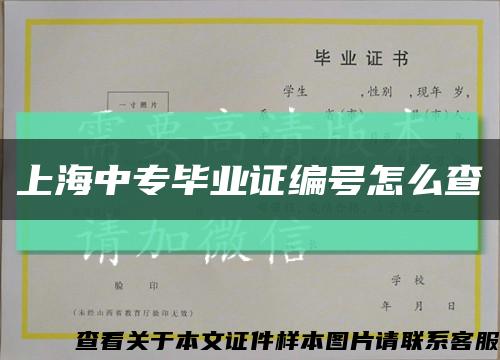 上海中专毕业证编号怎么查缩略图