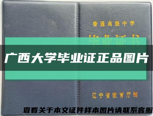 广西大学毕业证正品图片缩略图