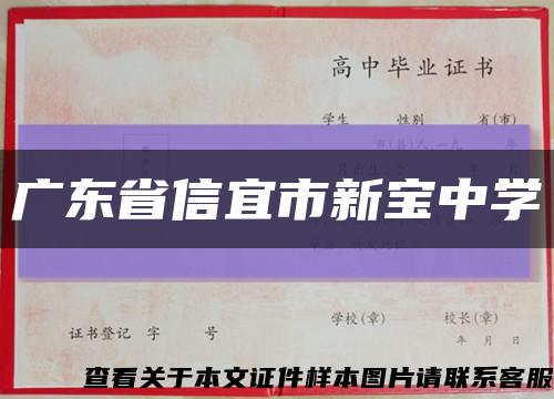 广东省信宜市新宝中学缩略图