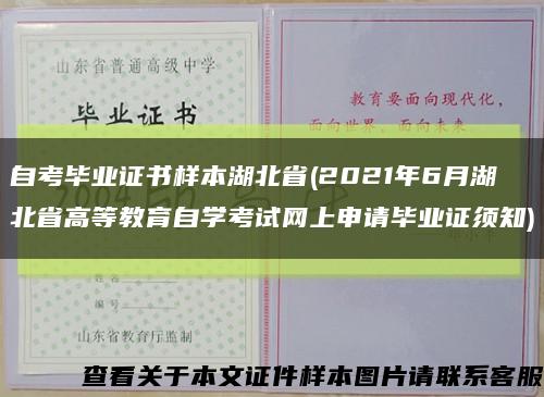 自考毕业证书样本湖北省(2021年6月湖北省高等教育自学考试网上申请毕业证须知)缩略图