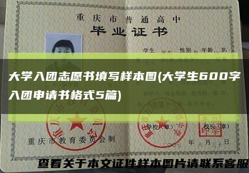 大学入团志愿书填写样本图(大学生600字入团申请书格式5篇)缩略图