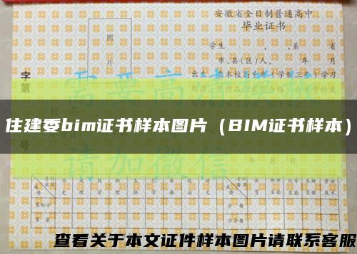 住建委bim证书样本图片（BIM证书样本）缩略图