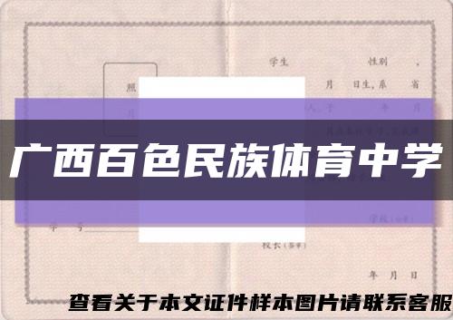 广西百色民族体育中学缩略图