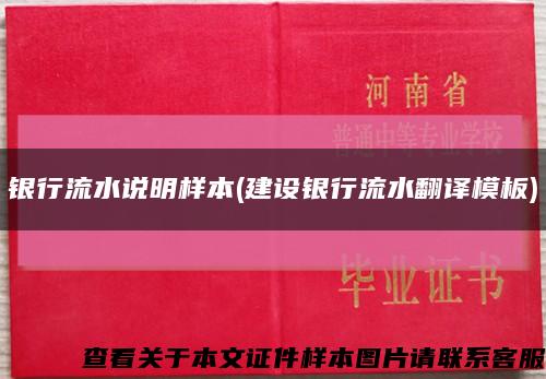 银行流水说明样本(建设银行流水翻译模板)缩略图