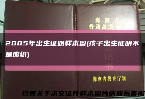 2005年出生证明样本图(孩子出生证明不是废纸)缩略图