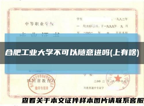 合肥工业大学不可以随意进吗(上有啥)缩略图