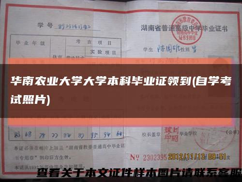 华南农业大学大学本科毕业证领到(自学考试照片)缩略图