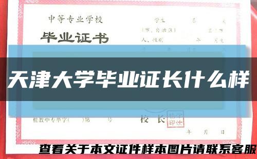 天津大学毕业证长什么样缩略图