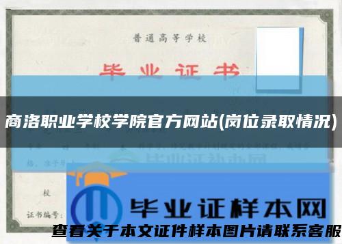 商洛职业学校学院官方网站(岗位录取情况)缩略图