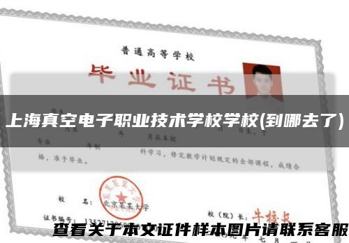 上海真空电子职业技术学校学校(到哪去了)缩略图