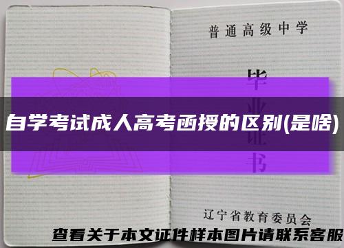 自学考试成人高考函授的区别(是啥)缩略图