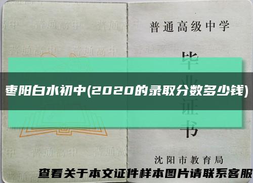 枣阳白水初中(2020的录取分数多少钱)缩略图