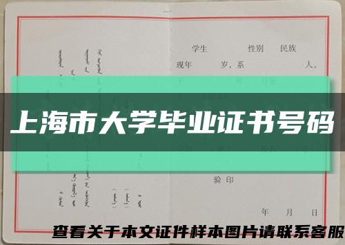 上海市大学毕业证书号码缩略图