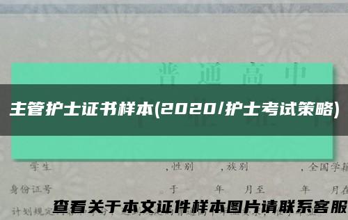 主管护士证书样本(2020/护士考试策略)缩略图