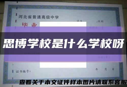 思博学校是什么学校呀缩略图