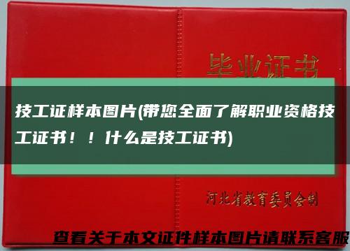 技工证样本图片(带您全面了解职业资格技工证书！！什么是技工证书)缩略图