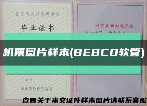 机票图片样本(BEBCO软管)缩略图