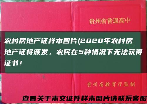 农村房地产证样本图片(2020年农村房地产证将颁发，农民在5种情况下无法获得证书！缩略图