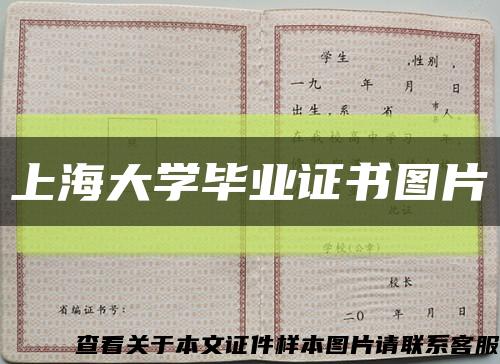 上海大学毕业证书图片缩略图