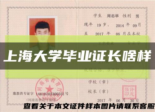 上海大学毕业证长啥样缩略图