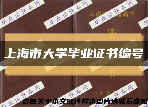 上海市大学毕业证书编号缩略图