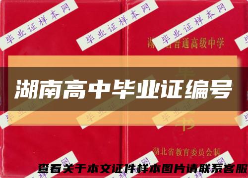 湖南高中毕业证编号缩略图