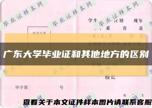 广东大学毕业证和其他地方的区别缩略图