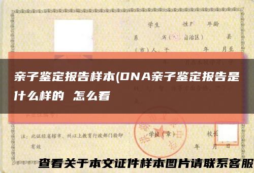 亲子鉴定报告样本(DNA亲子鉴定报告是什么样的 怎么看缩略图