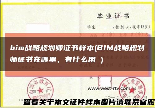 bim战略规划师证书样本(BIM战略规划师证书在哪里，有什么用 )缩略图